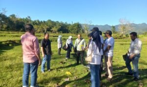 IMG 20250811 WA0530