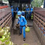 long weekend di sulawesi pertamina suntik pasokan lpg 3 kg tambahan 392 910 tabung