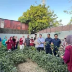 Panen Ketiga Sipakatau: Saat Kebun Warga Maccini Parang Kota Makassar Mulai Dilirik hingga Nunukan