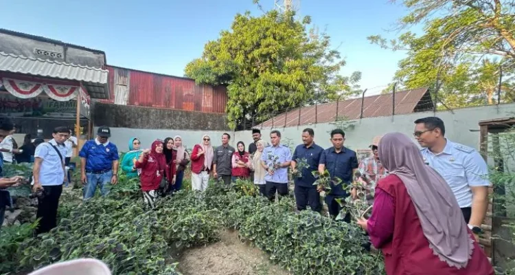 Panen Ketiga Sipakatau: Saat Kebun Warga Maccini Parang Kota Makassar Mulai Dilirik hingga Nunukan