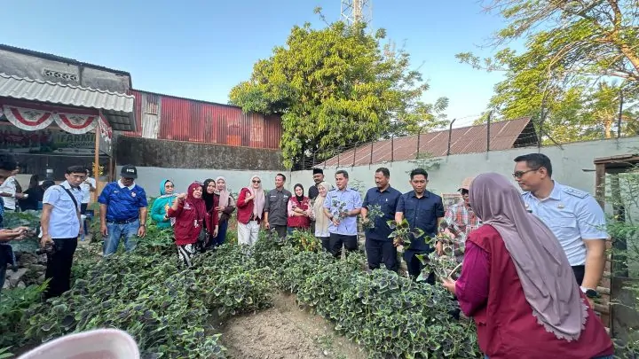 Panen Ketiga Sipakatau: Saat Kebun Warga Maccini Parang Kota Makassar Mulai Dilirik hingga Nunukan