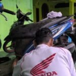 Honda Care Perkuat Layanan Purnajual, Jaga Kepercayaan Konsumen