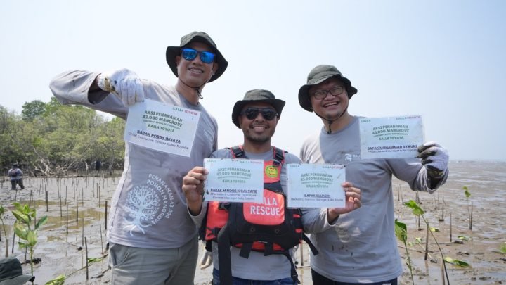 Kalla Toyota Tanam 43.000 Mangrove di Pangkep, Perkuat Ekosistem Pesisir