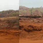 Warga Loeha Raya Lutim Minta Gakkum Usut Tuntas Oknum Pembakar Hutan