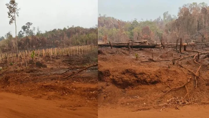 Warga Loeha Raya Lutim Minta Gakkum Usut Tuntas Oknum Pembakar Hutan