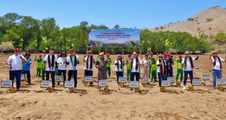 Yayasan AHM Tanam 10.000 Bibit Mangrove di Taman Nasional Komodo