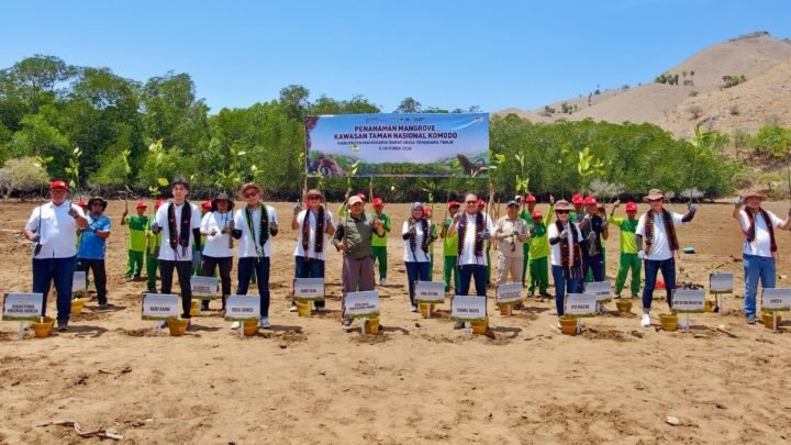 Yayasan AHM Tanam 10.000 Bibit Mangrove di Taman Nasional Komodo